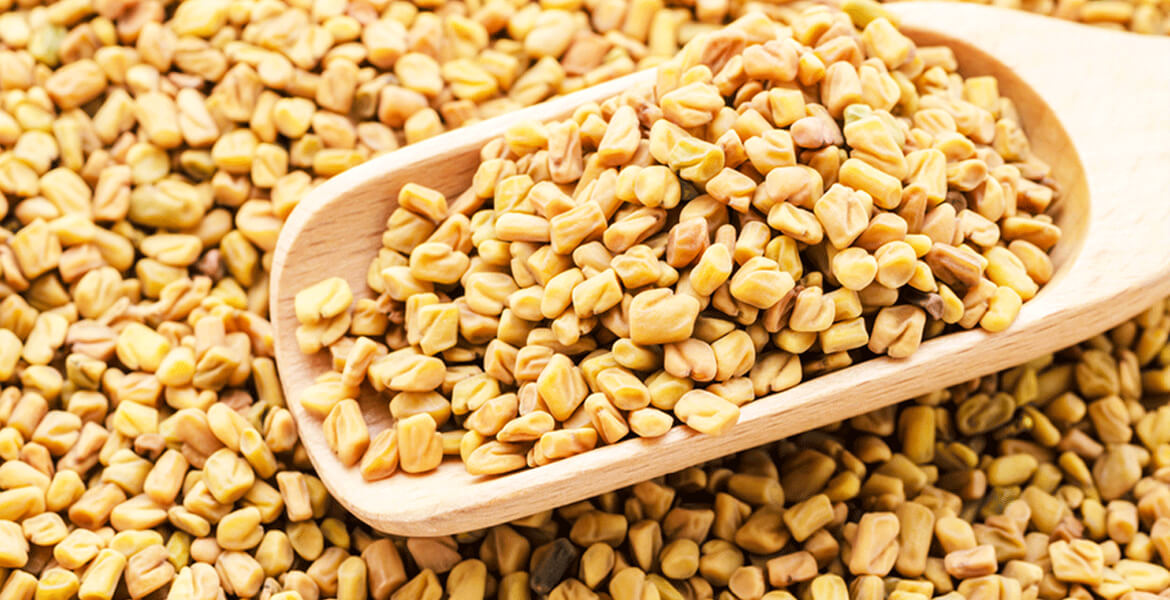 Indian-fenugreek-seed-suppliers-in-UAE Indian-fenugreek-seed-suppliers-in-UAE