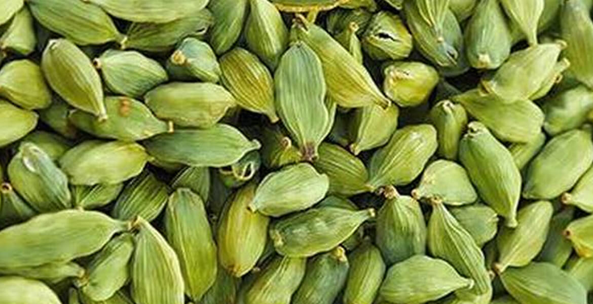 Indian-green-cardamom-suppliers-in-Dubai