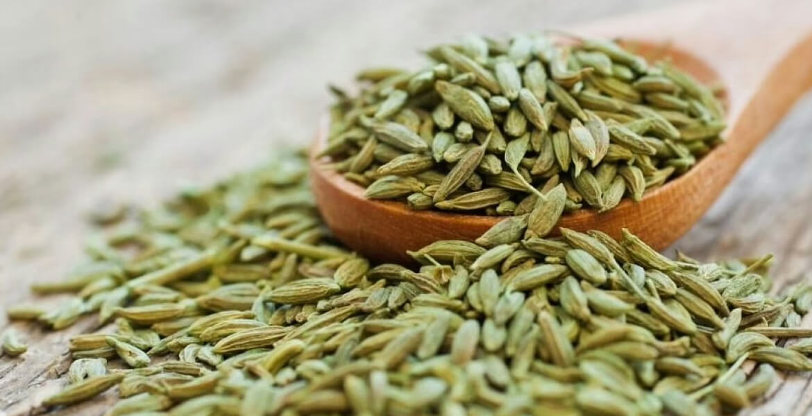 fennel-seeds-suppliers-in-Dubai       