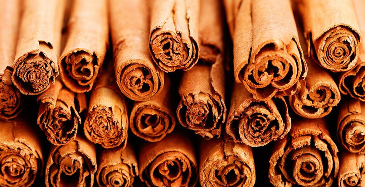 Cassia-supplier-in-Dubai Cassia-supplier-in-Dubai