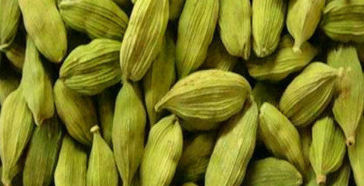 Guatemala-green-cardamom-suppliers-in-UAE