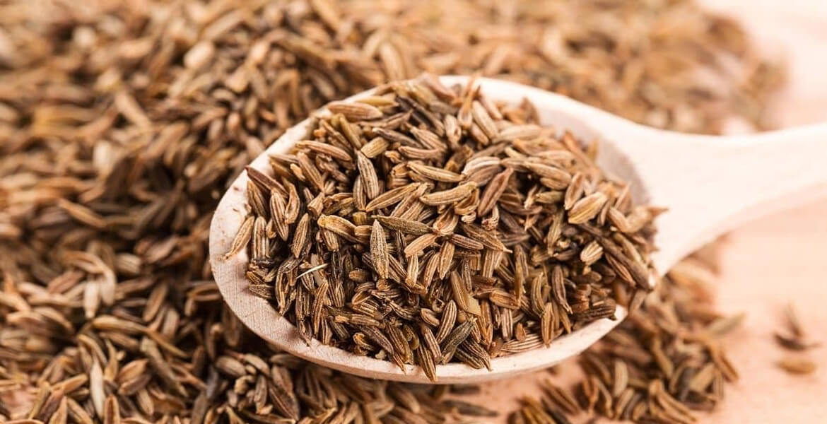 Indian-cumin-seeds-suppliers-in-UAE