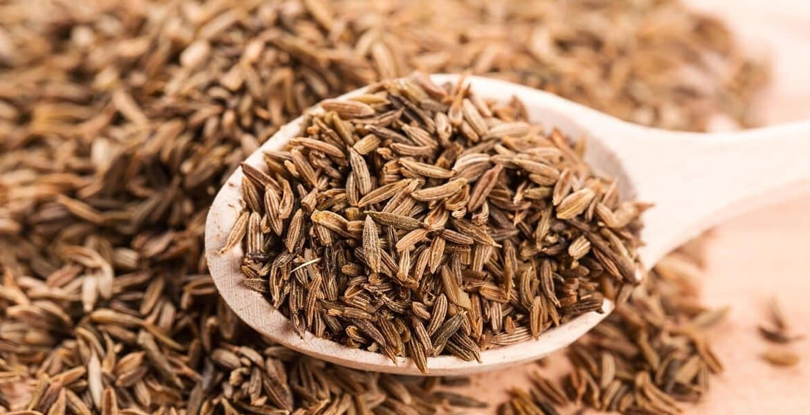 Indian-cumin-seeds-suppliers-in-UAE Indian-cumin-seeds-suppliers-in-UAE