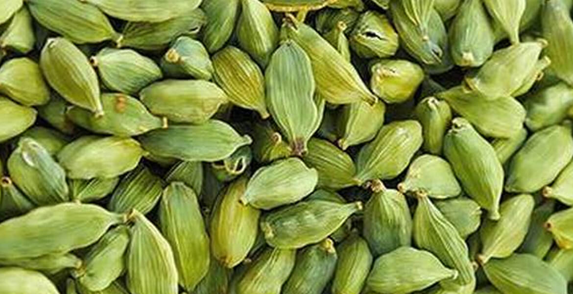 Indian-green-cardamom-suppliers-in-Dubai Indian-green-cardamom-suppliers-in-Dubai