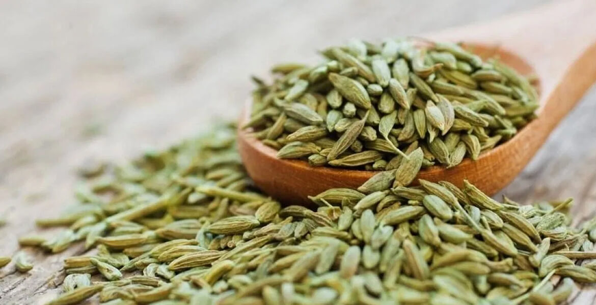 Pakistani-fennel-seeds-suppliers-in-Dubai       