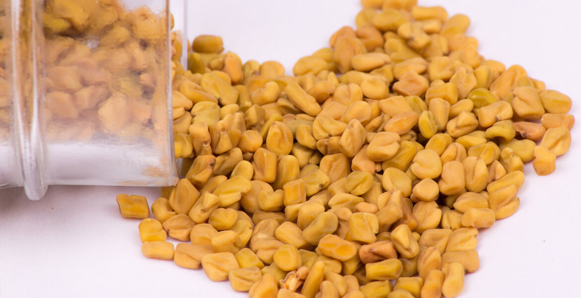 Pakistani-fenugreek-seed-suppliers-in-UAE