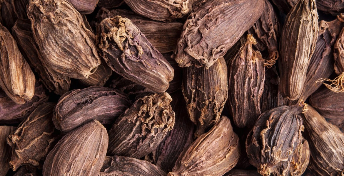 black-cardamom-suppliers-in-Dubai