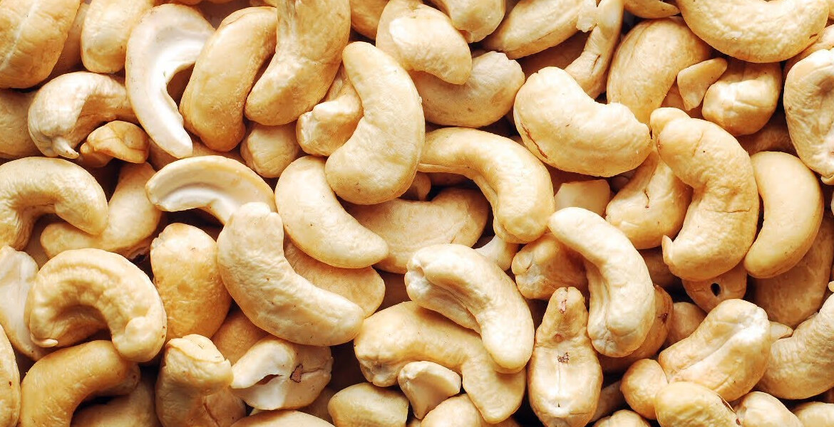 cashew-nut-suppliers-in-UAE