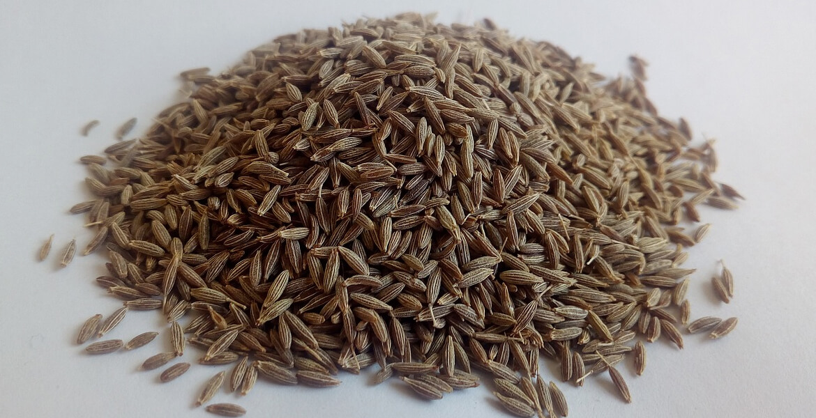 cumin-seeds-suppliers-in-Dubai