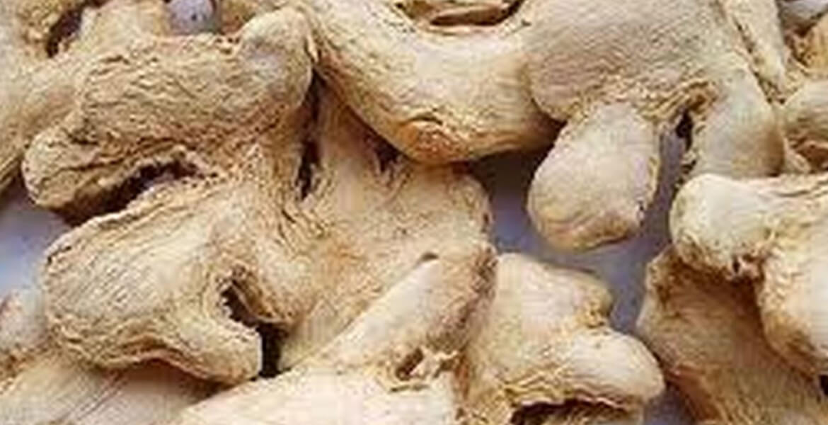 dry-ginger-exporters-in-UAE  