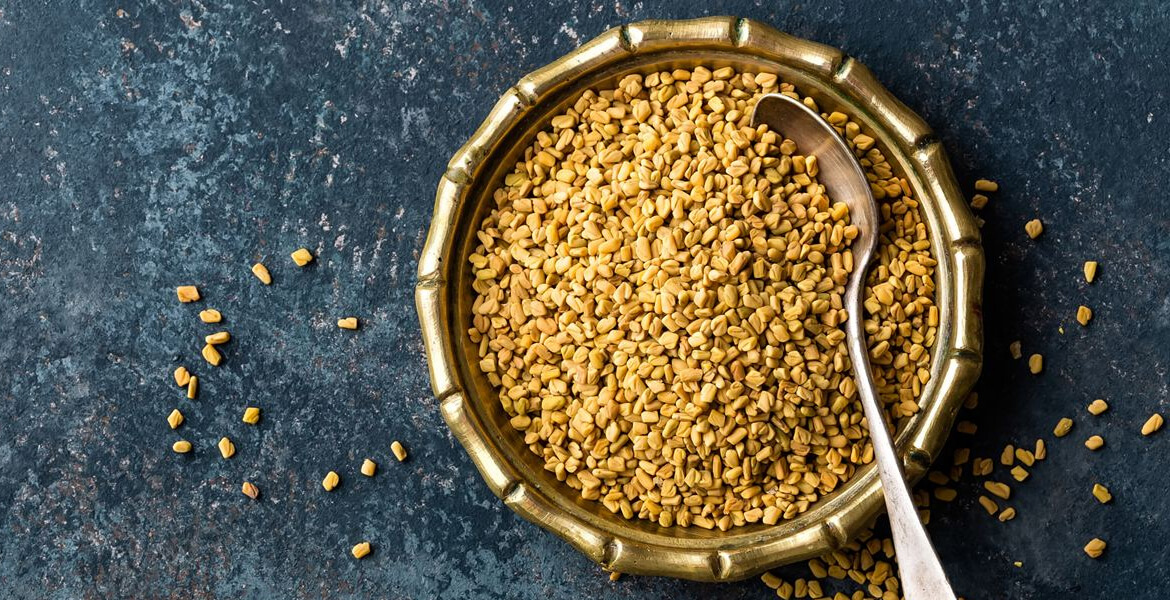 fenugreek-seed-suppliers-in-Dubai        