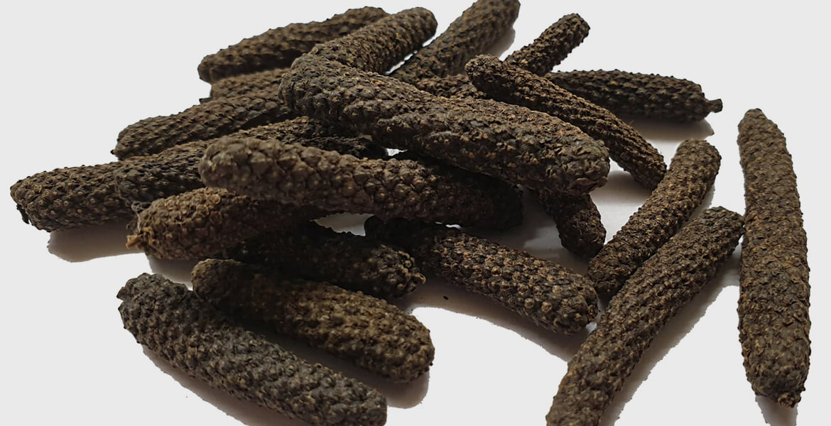 long-pepper-suppliers-in-Dubai