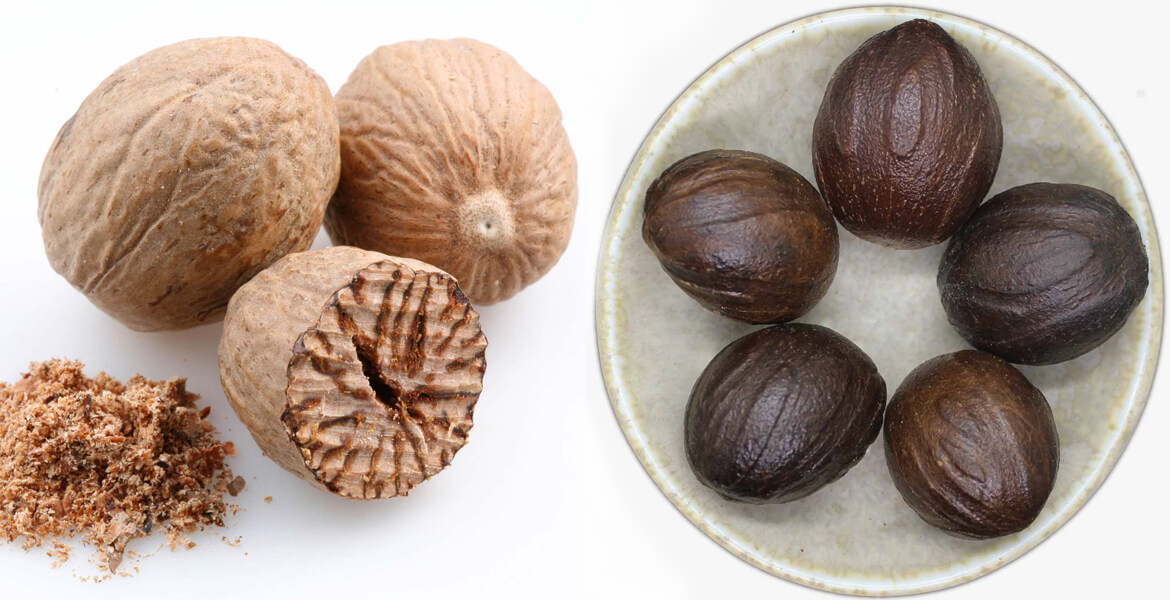 nutmeg-suppliers-in-Dubai