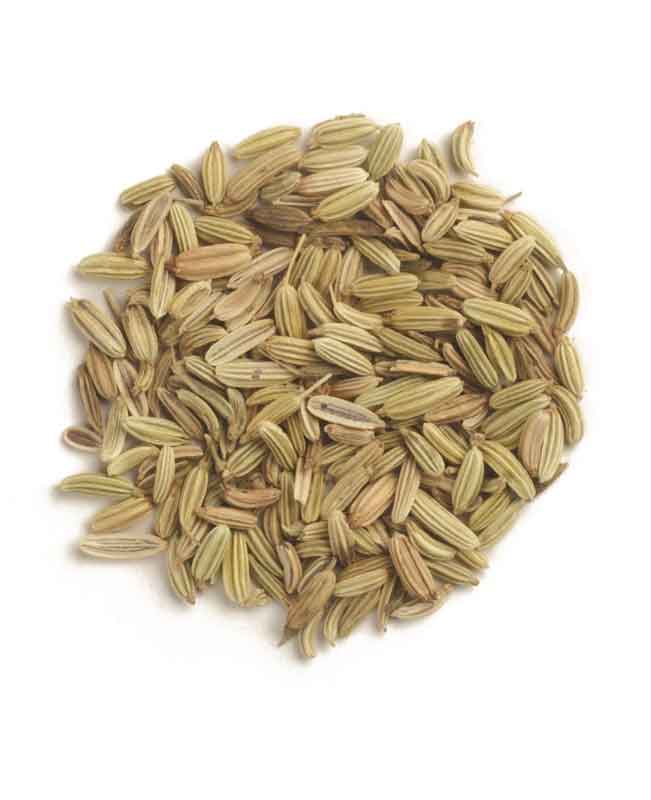 fennel-seeds-suppliers-in-Dubai