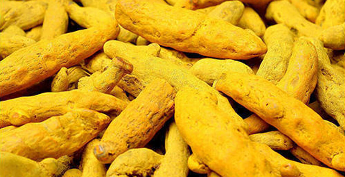 turmeric-suppliers-in-UAE 