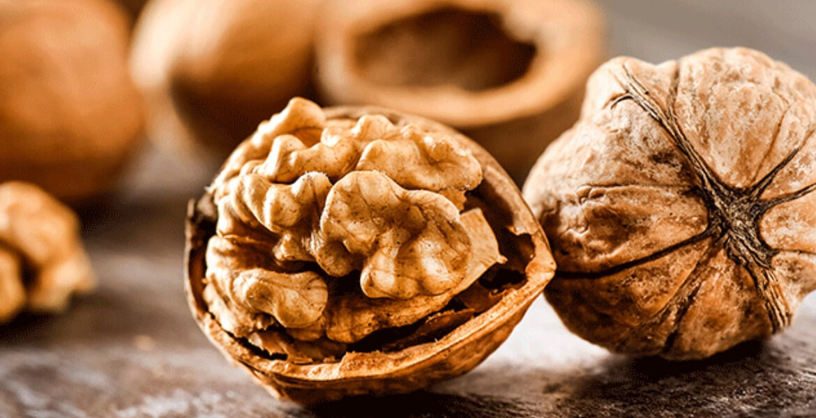 walnut-supplier-in-Dubai