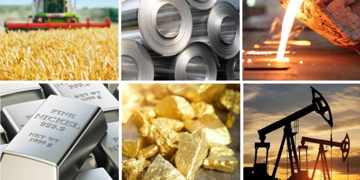 Cashew Nut from India